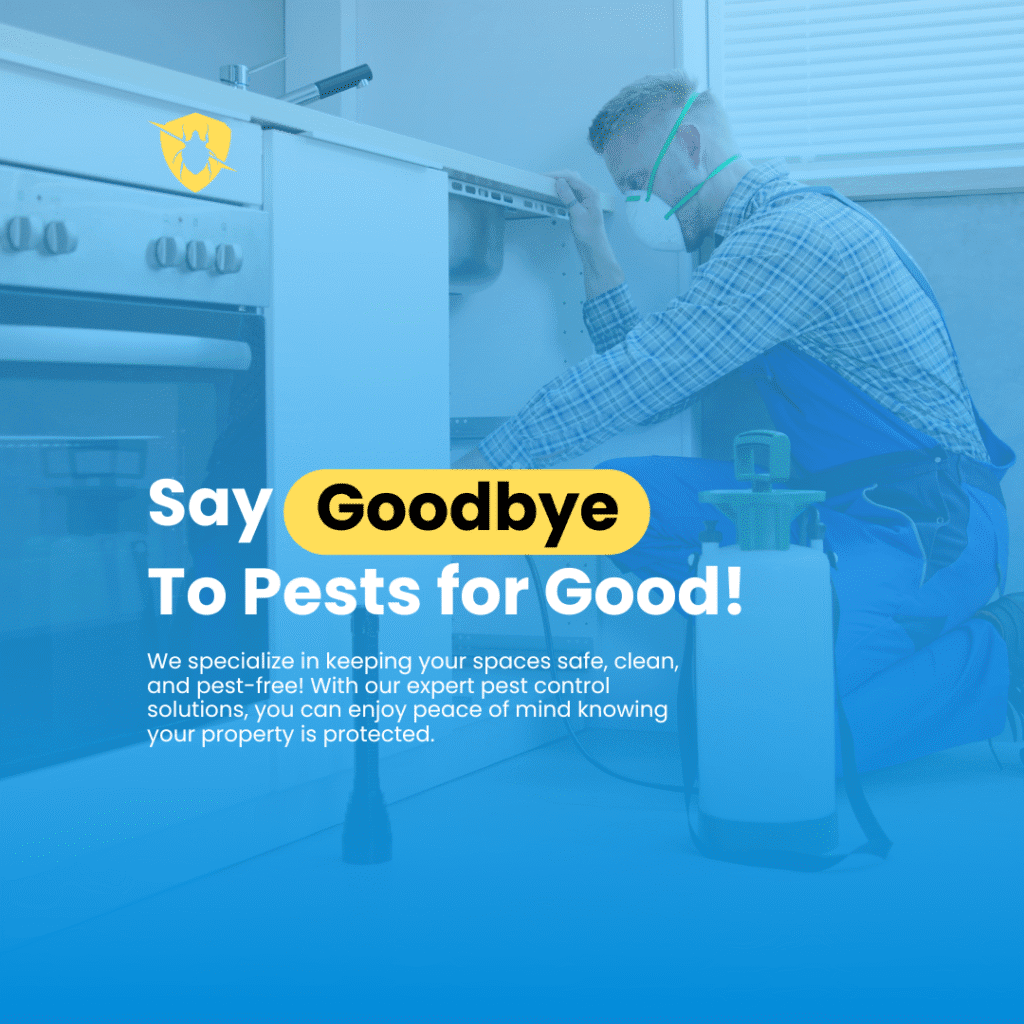 Home pest 1.png