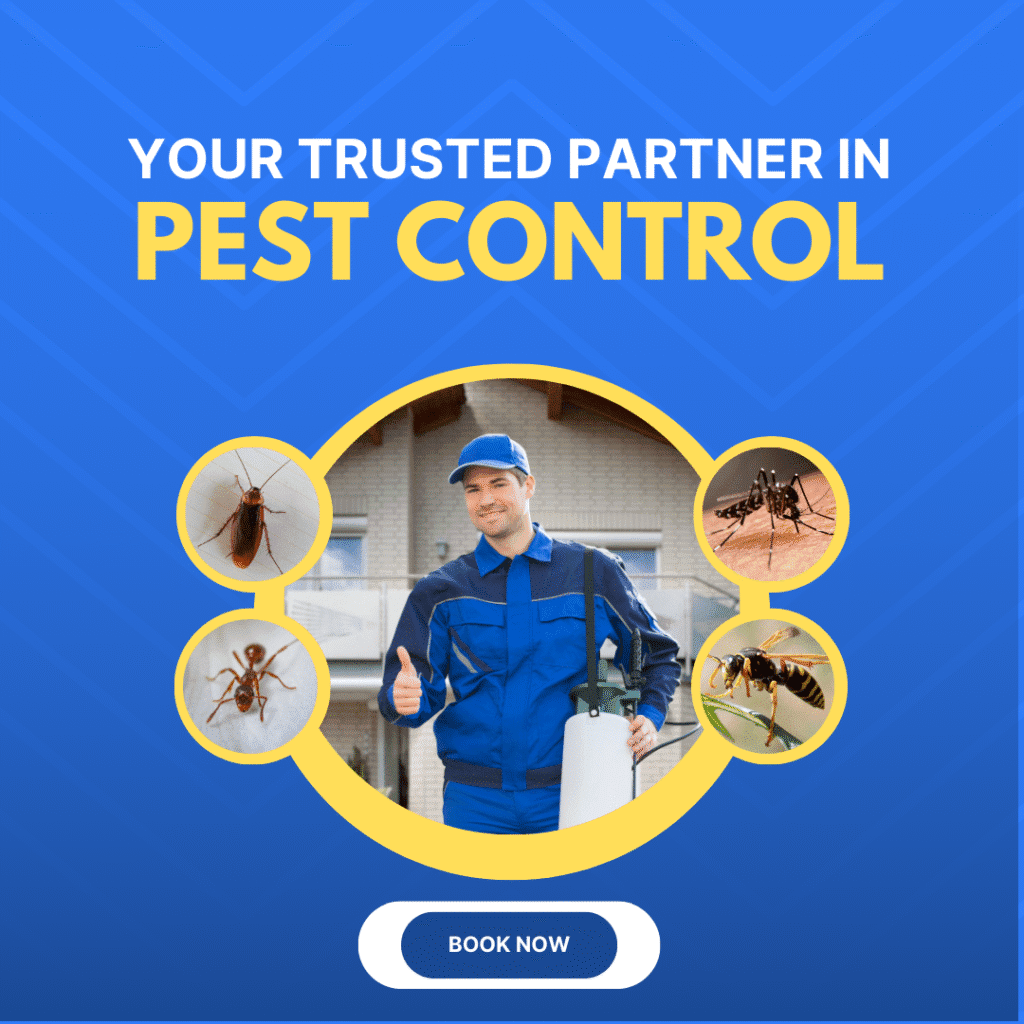 Home pest 2.png