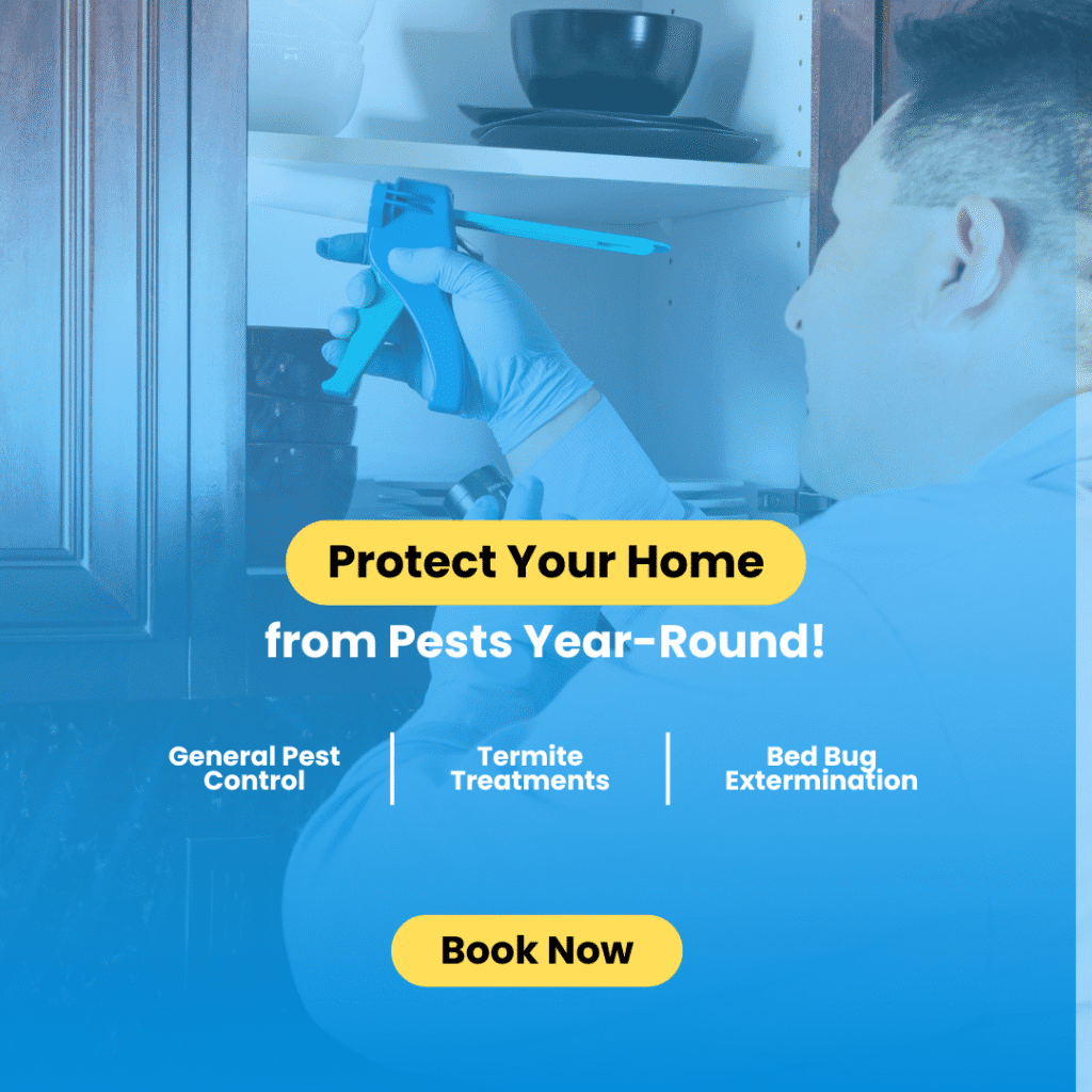 Home pest 3.png
